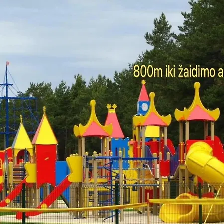 Apartment Vytauto 91 *