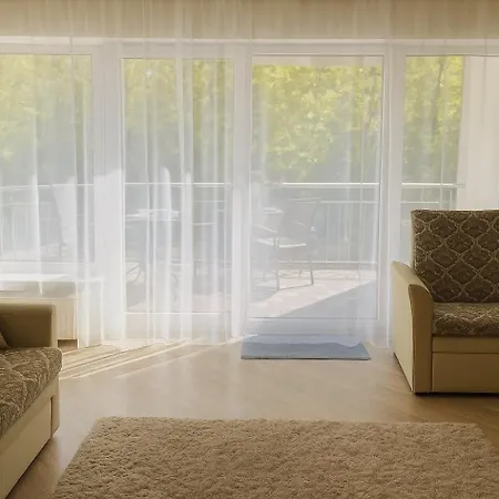 Vytauto 91 Apartment *
